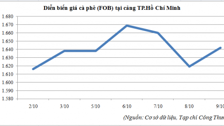 Diễn biến giá cà phê tại cảng TP.Hồ Chí Minh (2/10 – 9/10/2015)