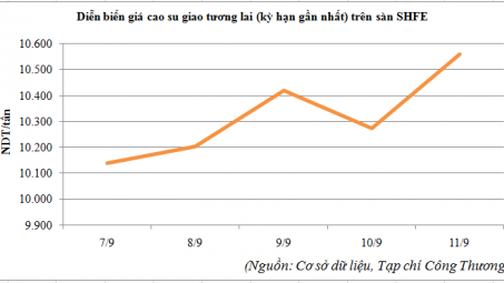 Diễn biến giá cao su trên sàn SHFE từ ngày 7/9 đến 11/9/2015