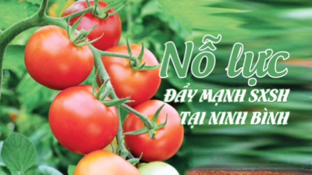 Bản tin Công nghệ xanh tháng 92015