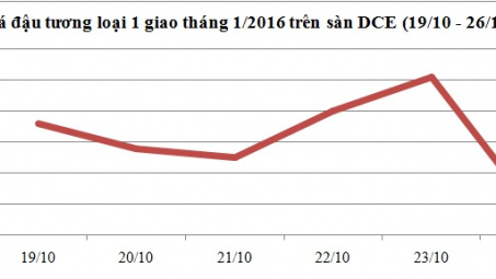 Diễn biến giá đậu tương loại 1 (ngày 19/10 - ngày 26/10)