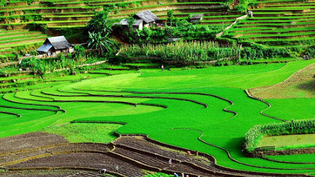 Xây dựng thương hiệu cho sản phẩm công nghiệp nông thôn tỉnh Sơn La