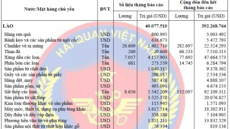 Diễn biến xuất khẩu của Việt Nam sang Lào tháng 8/2015