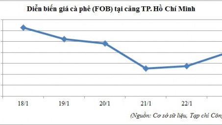 Diễn biến giá cà phê tại cảng TP. Hồ Chí Minh (18/01 - 23/01/2016)