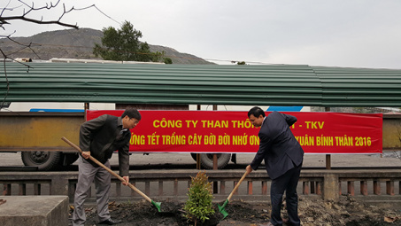 Công ty Than Thống Nhất - TKV: Hưởng ứng Tết trồng cây, đời đời nhớ ơn Bác Hồ