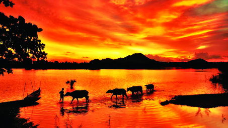 Kinh doanh du lịch qua điện ảnh