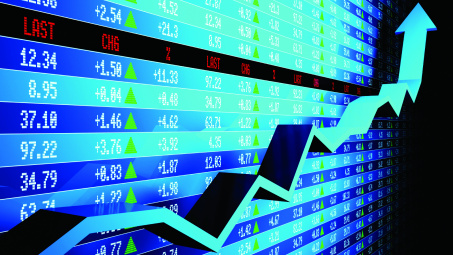 Stock investment funds to see growth this year
