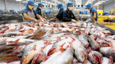 Tra fish exports reached 616 million USD in first six months