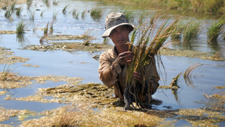 ADB hỗ trợ khắc phục hạn hán, xâm nhập mặn