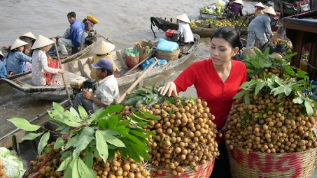 Đồng bằng sông Cửu Long và TP. Hà Nội: Kết nối hiệu quả tiêu thụ nông sản Việt 