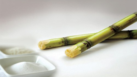 Sản lượng đường Việt Nam trong niên vụ 2015 - 2016 tiếp tục giảm
