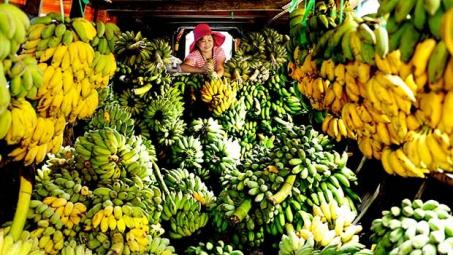 Kim ngạch xuất khẩu hàng hóa sang Trung Quốc tăng 13,86% trong nửa đầu năm 2016