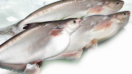 Quy trình xác định độc lập của lô hàng cá bộ Siluriformes