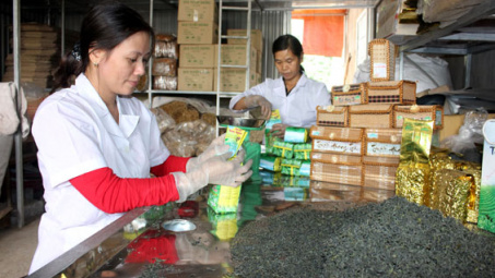 Tuyết Hương Trà: Thương hiệu “Giải vàng liên hoan trà quốc tế”