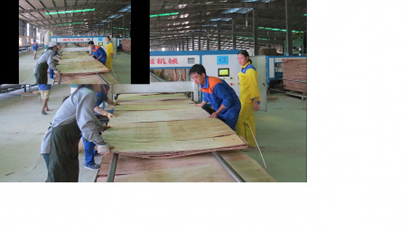 Nhà máy chế biến gỗ MDF: Tạo đầu ra ổn định cho sản phẩm từ rừng