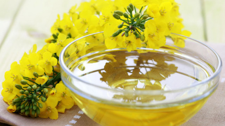 Dự báo Trung Quốc sẽ gia tăng nhập khẩu hạt cải dầu