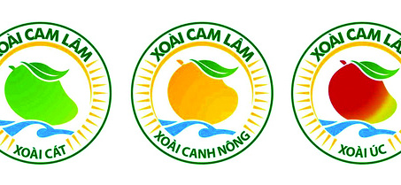 Khánh Hoà: Dán tem chứng nhận thương hiệu xoài Cam Lâm