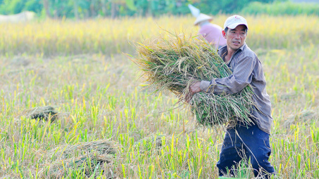 Bức ảnh xúc động về người cha đạt giải Nhất hoạt động bình chọn ảnh Tuần thứ hai