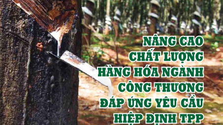 Năng suất chất lượng số 14 tháng 6 năm 2016