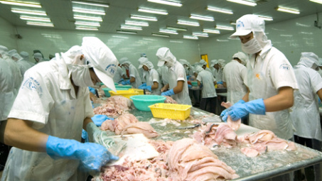 Thêm 12 nhà máy chế biến cá da trơn đủ điều kiện xuất khẩu vào Hoa Kỳ