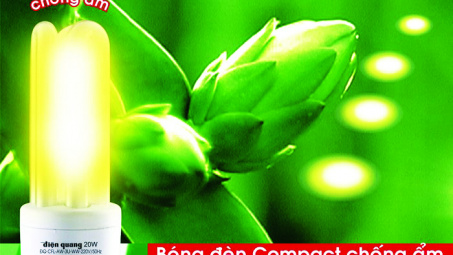 Việt Nam giới thiệu sản phẩm xây dựng xanh ra thế giới