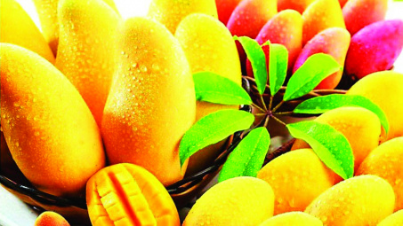 Australia gives approval for importing fresh Vietnamese mango