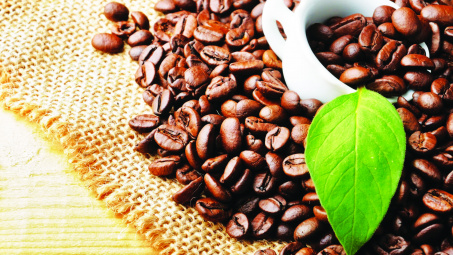 Giới thiệu cà phê Arabica tại thị trường Nhật