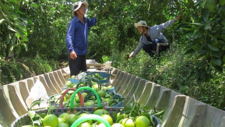 Phó Thủ tướng Vương Đình Huệ: Sản xuất phải theo chuỗi giá trị 