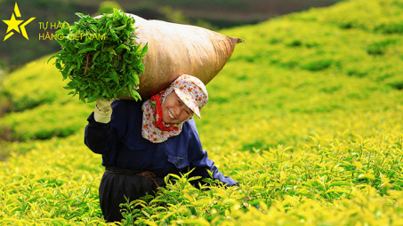 Hoạt động bình chọn ảnh “Tôi yêu hàng Việt Nam”: Chặng đua cuối cùng