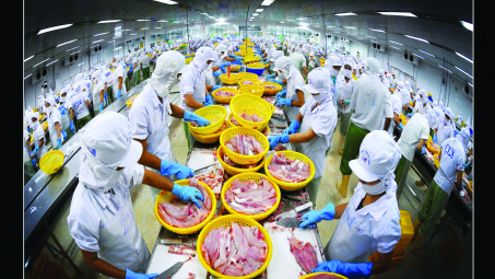 Vietnam to become global seafood processing centre