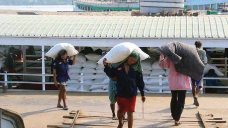 Myanmar lên kế hoạch xuất khẩu lúa 