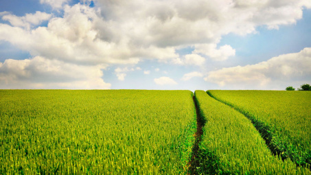 Phân bón Văn Điển  phát triển  theo hướng an toàn, bền vững