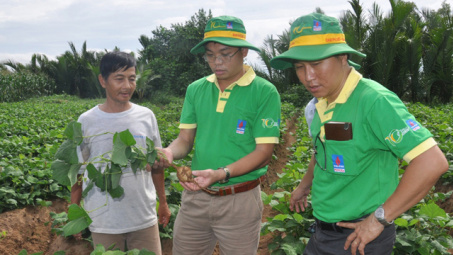 Chăm sóc khách hàng tốt như Đạm Phú Mỹ