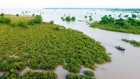 Hội thảo Báo cáo kết quả Dự án đổi mới sinh thái tại Việt Nam