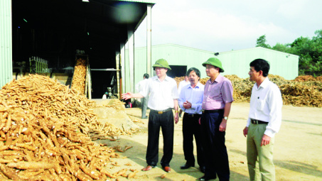 Công ty CP Tư vấn và Đầu tư Long Giang Thịnh: Phấn đấu vì mục tiêu phát triển bền vững