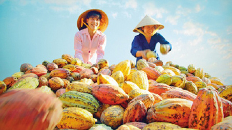 Xuất khẩu nông sản nhiều bứt phá trong năm 2016