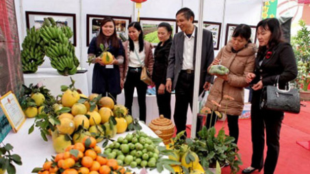Thêm điểm mua sắm nông sản an toàn dịp Tết Dương lịch 