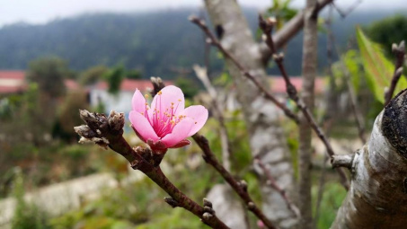 Điện Biên: Hơi ấm tình người