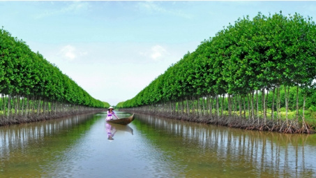 Ca Mau pledge the most beneficial policies for investors