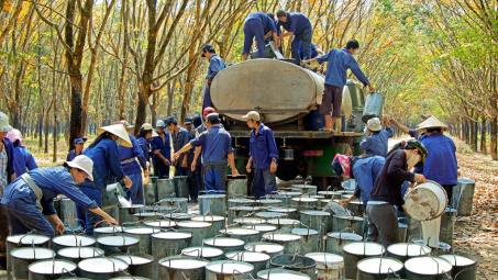 Vietnam Rubber has accredited as Vietnam rubber trademark 