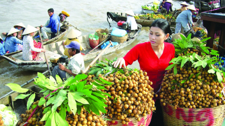 Vietnam’s fruit-vegetable export hit 2.1 billion USD