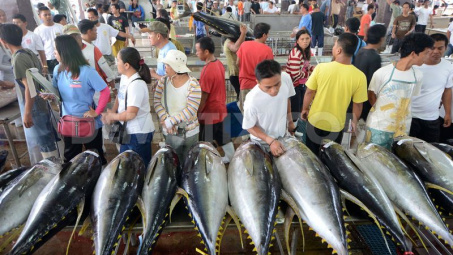 Tuna exports to EU enjoyed an increase of 92 percent