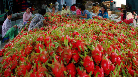 Vietnam-Argentina trade expected to hit 3 billion USD this year