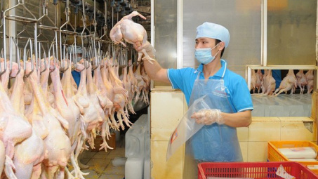 First Vietnamese company export chicken to Japan