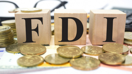 Nearly 800 million USD in FDI poured into Dong Nai