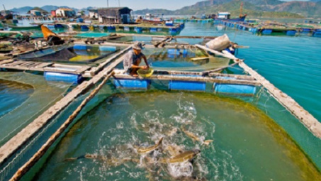 Ho Chi Minh City host Aquaculture Vietnam 2016