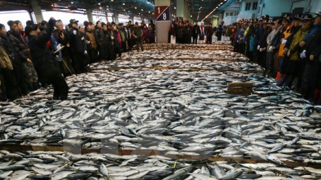 Japan’s Miyagi prefecture want to export seafood to Vietnam 