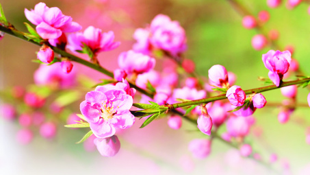 Trong ngày đầu tiên của năm mới