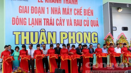 Launching factory processing frozen fruit and vegetable for export in Ben Tre