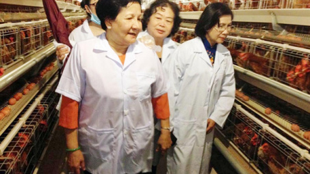 Workshop on promoting EU’s poultry products 
