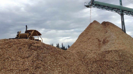 Biggest woodchip processing factory in Phu Yen inaugurated